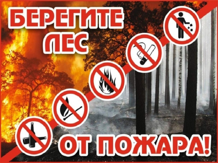 Единый день профилактики возникновения лесных пожаров.